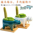 ミニ プランター 植木鉢 多肉植物鉢 2個セット サボテン鉢 猫 かわいい 多肉植物 寄せ植え 観葉植物 プランター ミニ植物適用 ガーデン おしゃれ 飾り プ...