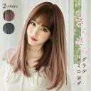 ウィッグ セミロング 普段使い 自然 後ろ髪 46cm 前髪 14cm ストレート ミドル ロング フルウィッグ おしゃれ かわいい 通気性 ナチュラル 髪型 グラデーション レディース ウイッグ 女性 ブラウン ストレート 内巻き 送料無料 衣料品としてお届け wg46sut