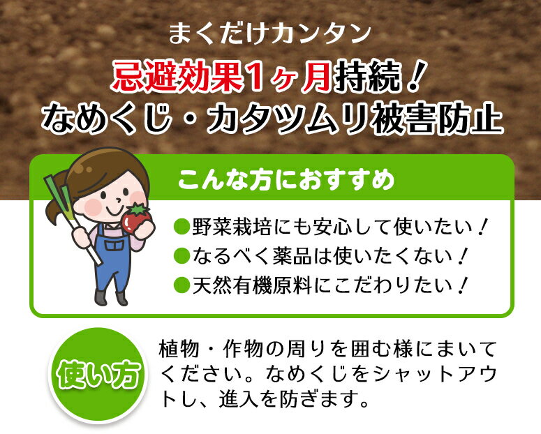 �ʤ᤯�� ƨ������ƨ������ 500g �ʥ᥯�� �ʤ᤯�� �༣ ŷ����ʬ ����� ����� JOY�����ꥹ