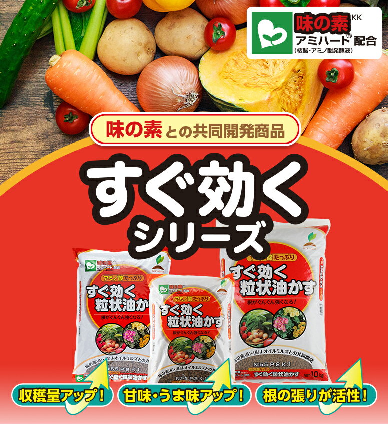 【送料無料】 すぐ効く 粒状 油かす 5kg 油粕 味の素 有機 肥料 花 野菜 JOYアグリ...