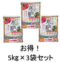 送料無料 お礼肥 寒肥 5kg×3袋 セット 果樹 花木 有機 JOYアグリスN:2 P:5 K:3 Mg:1