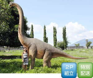 立ち向かうブラキオサウルス / Brachiosaurus　　fr100055