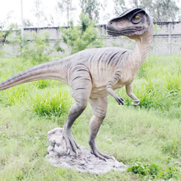龍の置物 置物インテリア 恐竜振り向くアロサウルス / Allosaurus　　fr090071