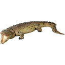 置物インテリア 爬虫類ワニ　動物オブジェ 巨大なクロコダイル / Crocodile 12ft.