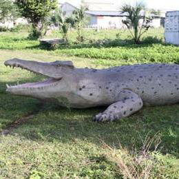 置物インテリア 爬虫類ワニ　動物オブジェ 巨大クロコダイル / Crocodile 28ft.　 fr100097