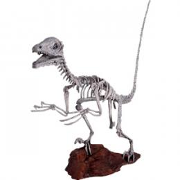 ディノニクス・スケルトン / Deinonichus Skeleton　　 fr140026