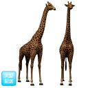 ȃL / Giraffe 18ft.@@ fr140039
