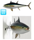 魚置物インテリア　サカナブルーフィンツナさかなオブジェ マグロ / Bluefin Tuna　ブルーフィンツナ 1