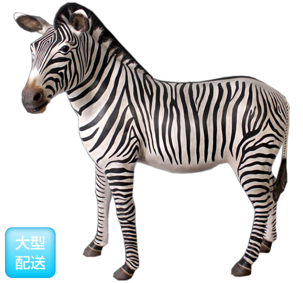 シマウマ / Zebra fr110075