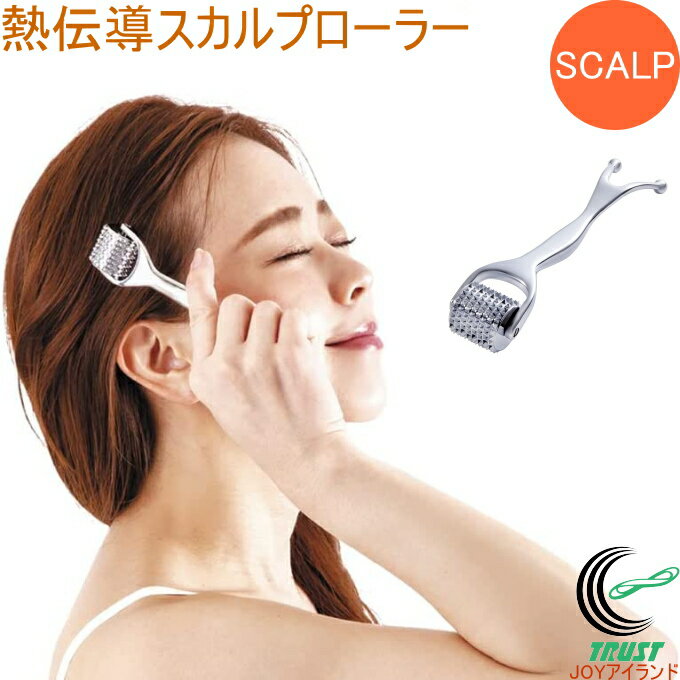 熱伝導スカルプローラー RCP 美容 ケア 熱伝導 美容鍼 頭 頭皮 ヘッドスパ コリ ほぐす 首 リラックス マッサージ リフレッシュ マッサージグッズのサムネイル