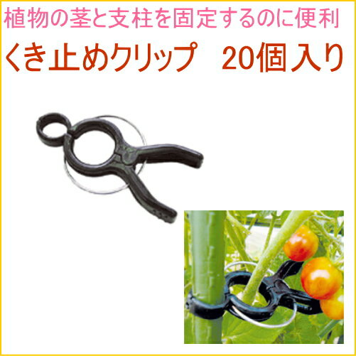 �����ߤ᥯��å� 20������ RCP ��� �����ǥ˥� �����ڱ� �ڱ� �������� Ȫ �� ������ ���� ���� �� ��� �ɻ� �Ĥ��� ���� ��