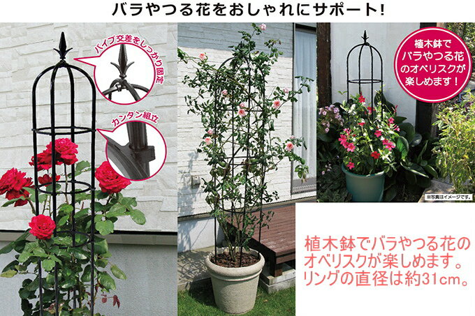スモールオベリスク 160cm RCP 園芸 ...の紹介画像3
