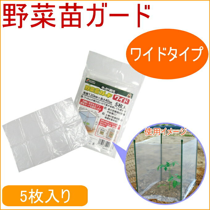 ����ĥ����� �磻�� 5������ RCP ��� �����ǥ� �����ǥ˥� �����ڱ� ���� �� ��� ���� ��ñ ���� �� ���褱 ������ ���褱