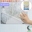 磨きま専家 鏡ピカッシュ MS-65 RCP ネコポス対応 日本製 浴室 お風呂場 鏡 ガラス 窓ガラス 水アカ 水垢ウロコ 油膜 掃除用具 お風呂掃除 汚れ落...