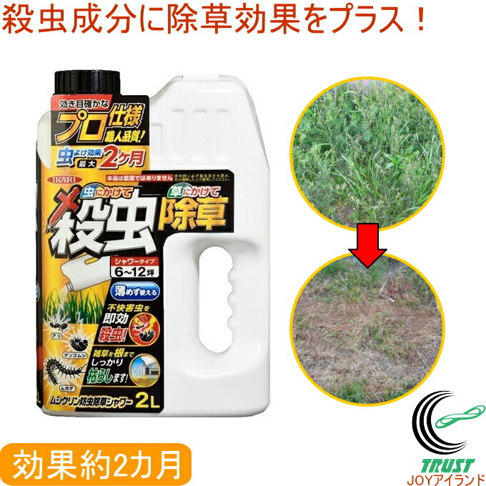 安いクモクリンの通販商品を比較 ショッピング情報のオークファン