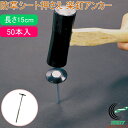 防草シート押さえ 楽釘アンカー 長さ15cm 50本入 園芸 園芸用品 ガーデニング用品 庭 畑 杭 農業用資材 防草シート 押さえ 固定ピン 固定金具 ピン 釘 くぎ アンカー 留め具 固定 簡単 便利 楽釘 50本入 長さ15cm 第一ビニール DAIM