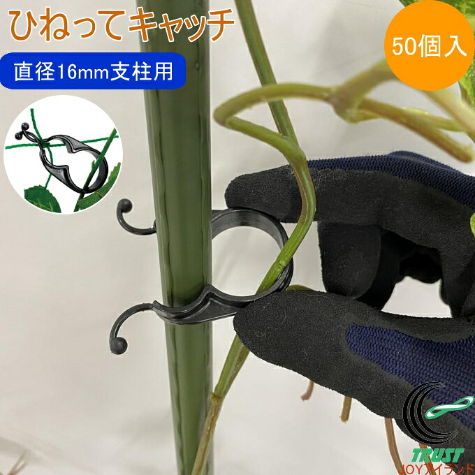 ひねってキャッチ 50個入 直径16mm支柱用 園芸 ガーデニング 家庭菜園 菜園 家庭農園 畑 庭 家庭用 支柱 栽培 花 野菜 防止 つるもの 固定 茎 茎止め 誘引 クリップ 簡単 第一ビニール