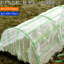 おてがる君 防虫ネット 5個セット 園芸 園芸用小物 菜園 農業用資材 支柱 園芸用支柱 防虫ネット 一体化 栽培 家庭菜園 畑 農業 果物 野菜 苗 育成 防虫 虫 虫よけ ケース出荷 第一ビニール