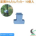 菜園かんたんパッカー 10個入り 外径8mm用 ライトブルー RCP 園芸 ガーデニング 家庭菜園 菜園 家庭農園 畑 庭 支柱 栽培 花 野菜 防止 固定 補...