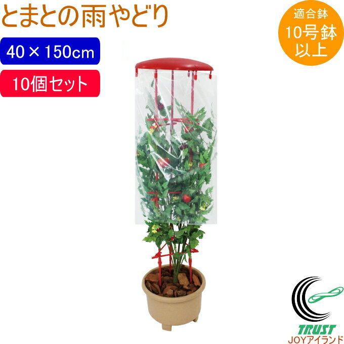 とまとの雨やどり 10個セット 園芸 園芸用小物 菜園 農業用資材 栽培 収穫 家庭菜園 畑 農業 果物 野菜 とまと トマト 雨よけ 支柱 シート パッカー セット 鉢用 第一ビニール