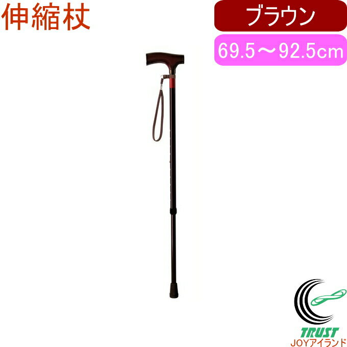 伸縮杖 ブラウン OD-E03 RCP 送料無料 歩行補助 歩行 サポート 杖 つえ ステッキ 伸縮 セイフティー 福祉 介護 シニア 高齢者 安全グッズのサムネイル