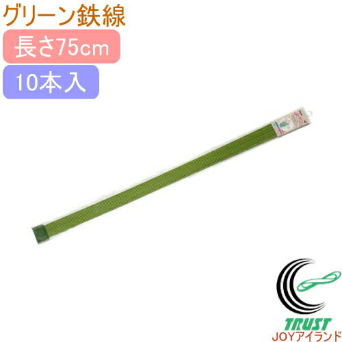 グリーン鉄線75cm10本入RCP...