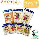 果実袋 ブドウ 大 20枚入り RCP 園芸 ガーデニング 家庭菜園 果樹 家庭用 栽培 葡萄 ぶどう 収穫 キズ 傷 害虫 保護 防虫 防鳥 手軽 便利 掛袋...