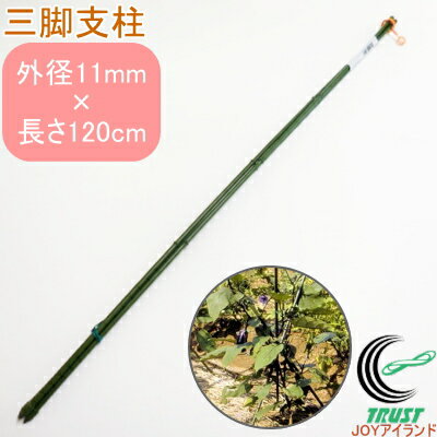 三脚支柱 外径11mm×120cm高 RCP 園芸 ガーデン ガーデニング 家庭菜園 家庭農園 支柱 野菜 栽培 やぐら..