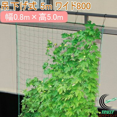 緑のカーテン 5m ワイド800 吊下げタイプ RCP 園芸 ガーデニング 家庭菜園 庭 グリーンカーテン 緑のカーテン すだれ 簾 スクリーン 省エネ エコ 遮光 日除 日除け 日よけ 目隠しのサムネイル