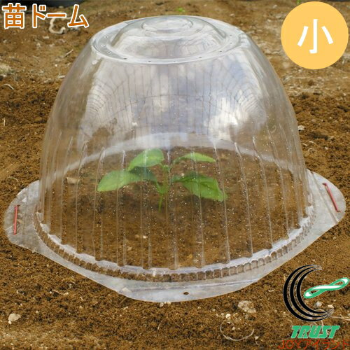 苗ドーム 小 5枚入 RCP 園芸 ガーデニング 家庭菜園 家庭農園 家庭用 畑 栽培 換気 防寒 保温 保湿 霜よけ 防霜 雨よけ 簡単 手軽 便利 カバーのサムネイル