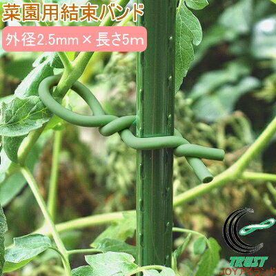 やわらかバンド 外径2.5mm×5m RCP 園芸 ガーデニング 家庭菜園 菜園 家庭農園 畑 庭 家庭用 支柱 栽培 ..