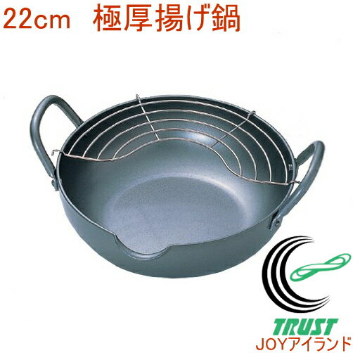 極天 極厚揚げ鍋22cm GT-22W RCP 日本産 200V・IH対応 てんぷら鍋 天ぷら鍋 フライ鍋 網付き 揚げ物 フライ 新生活 新成人