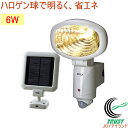 6W エコロジーソーラーライト (S-120) 【RCP】【...