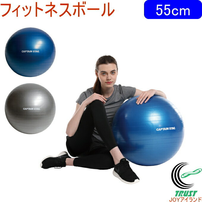 キャプテンスタッグ Vit Fit フィットネスボール 55cm 全2色 RCP ストレッチ 運動 エクササイズ 健康 ヨガ ボール ヨガボール フィットネスボール 体幹 バランス フィットネス ダイエット