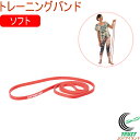 キャプテンスタッグ Vit Fit トレーニングバンド ソフト UR-0896 RCP ストレッチ 運動 エクササイズ バンド トレーニング 健康 フィットネス ダイエット 手軽