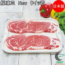 解凍皿 Newクイッ君 1枚入 KS-3181 RCP 日本製 燕三条 解凍 冷凍 短時間 解凍プレート 焼肉プレート レンジ調理器 万能皿 急速解凍 急速冷凍...