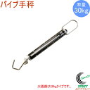 ワールドボス パイプ手秤 30kg WB30 RCP はかり 測定 計量 スケール 手秤 秤 バネ式 送料無料