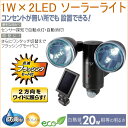 1W 2LEDソーラーライト (S-20L) 【RCP】【屋...