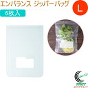 エンバランス ジッパーバッグ L 大 6枚入 T12180 日本製 冷凍OK RCP 保存 安全 清潔 日持ち 日もち 密閉 エコ 袋 保存袋 野菜 果物 食品 クロネコゆうパケット対応