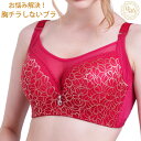 ブラジャー 大きいサイズ 育乳ブラ 脇肉ブラ 谷間 交換OK 【胸チラしないブラ】 Fカップ Gカップ 補正下着 チラ見え防止 寄せ 上げ 補正ブラ BIG ビッグ 巨乳 赤 XXL プレゼント