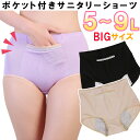 サニタリー ショーツ ポケット 大きい サイズ パンツ 生理 多い日 防水布 ガード 漏れ モレ レース ゴム ビッグ BIG 月経 ゆったり コットン 綿 ビ...