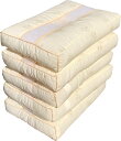 ★数量限定★ ★送料無料★ 5個セット マチ付やわらかめソフトパイプ枕 中材 約1kg 約35×50cm BE 【パイプ日本製】【国内加工】 【パイプ】 【パイ...