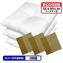 3枚 ヌード座布団 + 座布団カバー 55x59 しじら麻 セット 約55×59cm グリーン 送料無料 日本製 銘仙判 来客用 リモート 業務用 綿 法事 和...