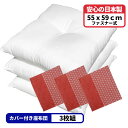 3枚 ヌード座布団 + 座布団カバー 55x59 しじら麻 セット 約55×59cm レッド 送料無料 日本製 銘仙判 来客用 リモート 業務用 綿 法事 和室...