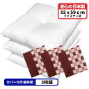 3枚 ヌード座布団 + 座布団カバー 55x59 しじら格子 セット 約55×59cm レッド 送料無料 日本製 銘仙判 来客用 リモート 業務用 綿 法事 和...