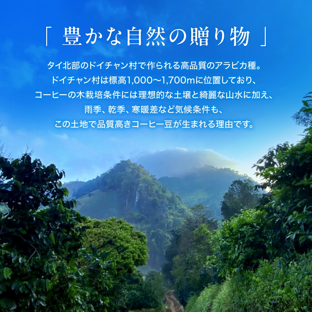 開店記念SALE【半額クーポンご利用で5,960円→2,980円！】 タイ産コーヒー豆300g 豆...