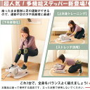 ステッパー ミニ クロストレーナー フィットネスバイク エアロバイクプレミアム 前後方向回転 電動フィット フィットネス 自宅 ダイエット フィット リモコン付き 組立不要 小型 軽量 家庭用 電動クロストレーナー くびれ ウエスト 健康 正規品
