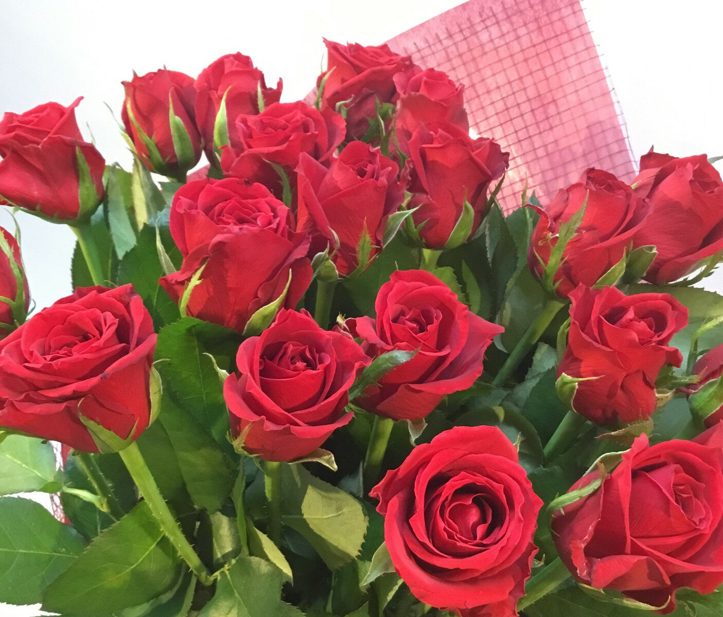 花 ギフト お誕生日 記念日 お祝い 贈呈 ばらの花束 国産 バラ 赤 レッド 豪華 ギフトラッピング付き赤バラ花束【赤ばら20本の花束】