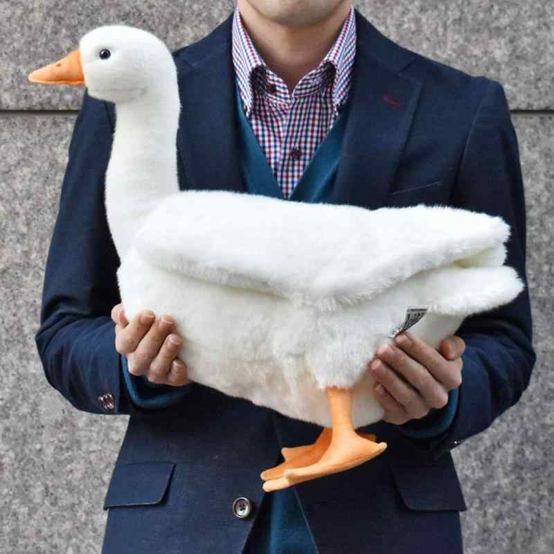ジョイフル39楽天市場店のANSA シロガチョウ No.3709 41cm ‎3歳以上｜アングル2