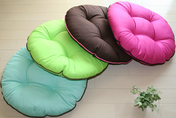 �߸˸¤� �ե��������å����FUNNY �ե��ˡ� �ѥ��ԥ� ȯ���������Τ錄���� �ե������ ���å���� ��ӥ󥰥��å���� �߷� �ݷ� �ӥӥå� ����ץ� ����� �֥饦�� �ԥ�